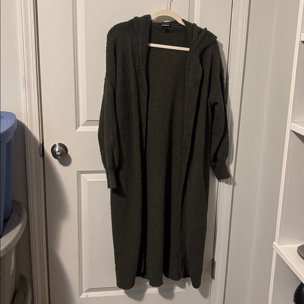 Express Forest Green Plush Sweater